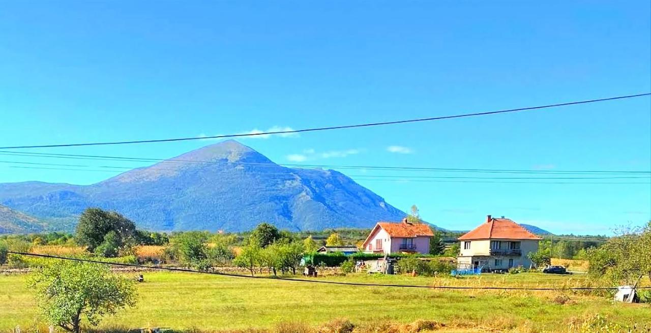 Villa Saturea Boljevac Ngoại thất bức ảnh